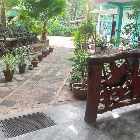 Sigiri Lion Lodge Sigiriya Dış mekan fotoğraf