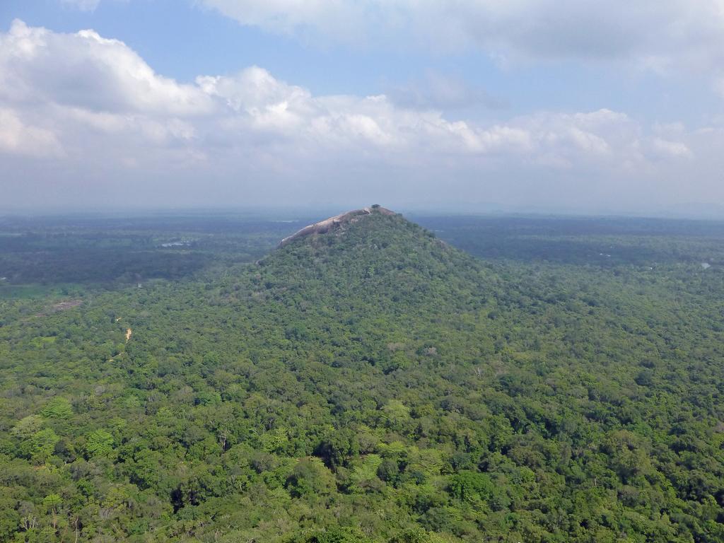 Sigiri Lion Lodge Sigiriya Dış mekan fotoğraf