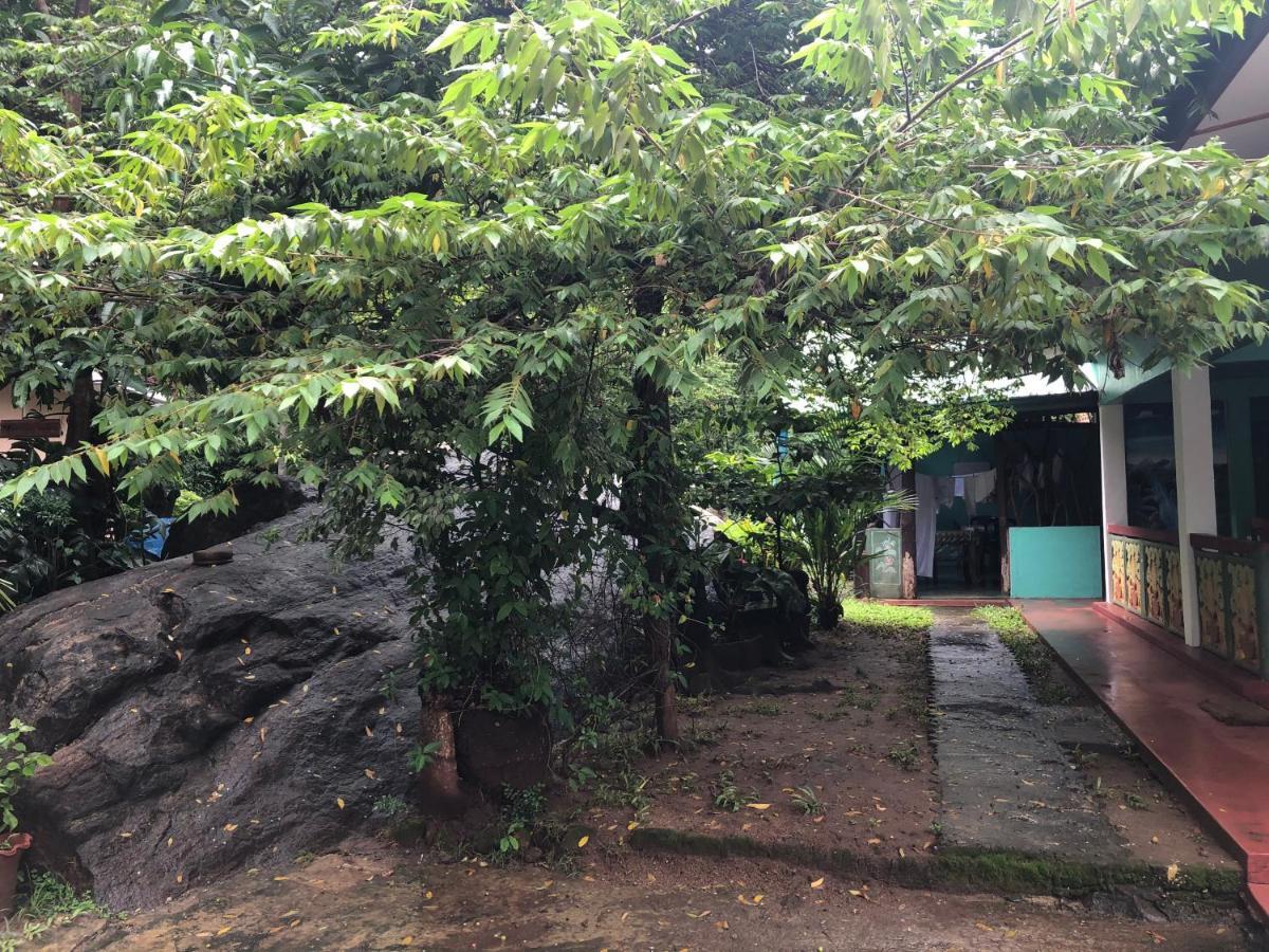 Sigiri Lion Lodge Sigiriya Dış mekan fotoğraf
